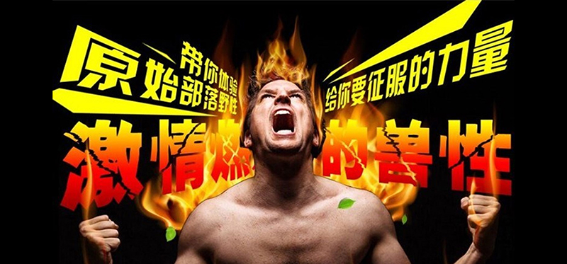 雪域藏宝10粒多少钱一盒